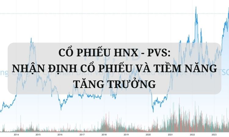 Cổ phiếu HNX - PVS: Nhận định cổ phiếu và tiềm năng tăng trưởng