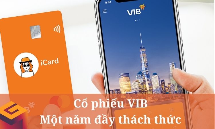 Cổ phiếu VIB - Một năm đầy thách thức