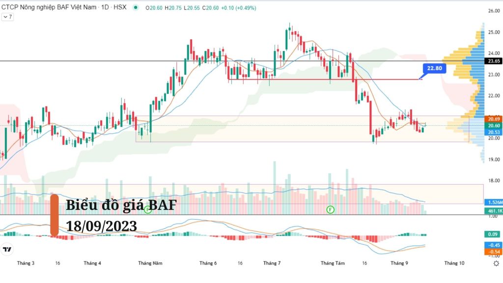 Biểu đồ kỹ thuật của cổ phiếu BAF khung Daily