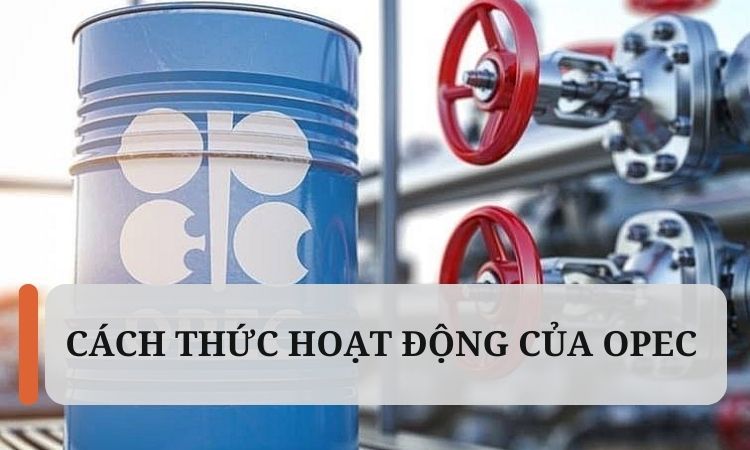 Cách thức hoạt động của OPEC