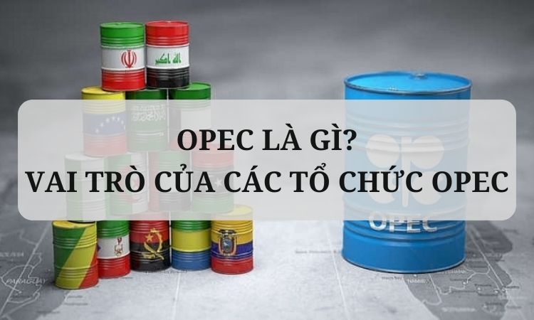 OPEC là gì? Vai trò của các tổ chức OPEC