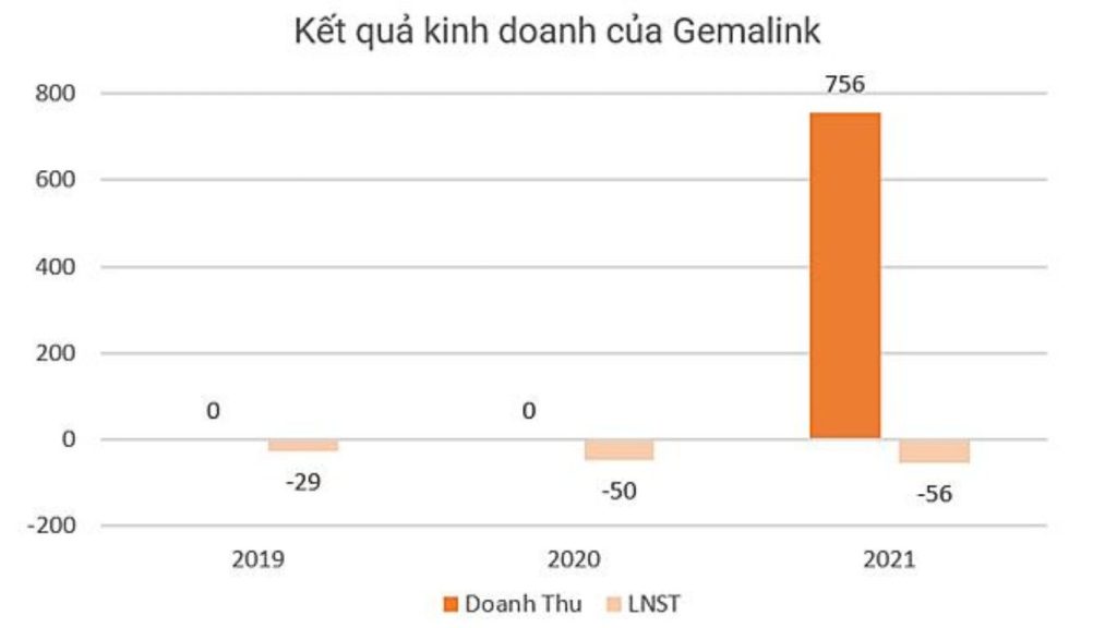 Gemalink chịu lỗ trong những năm mới thành lập