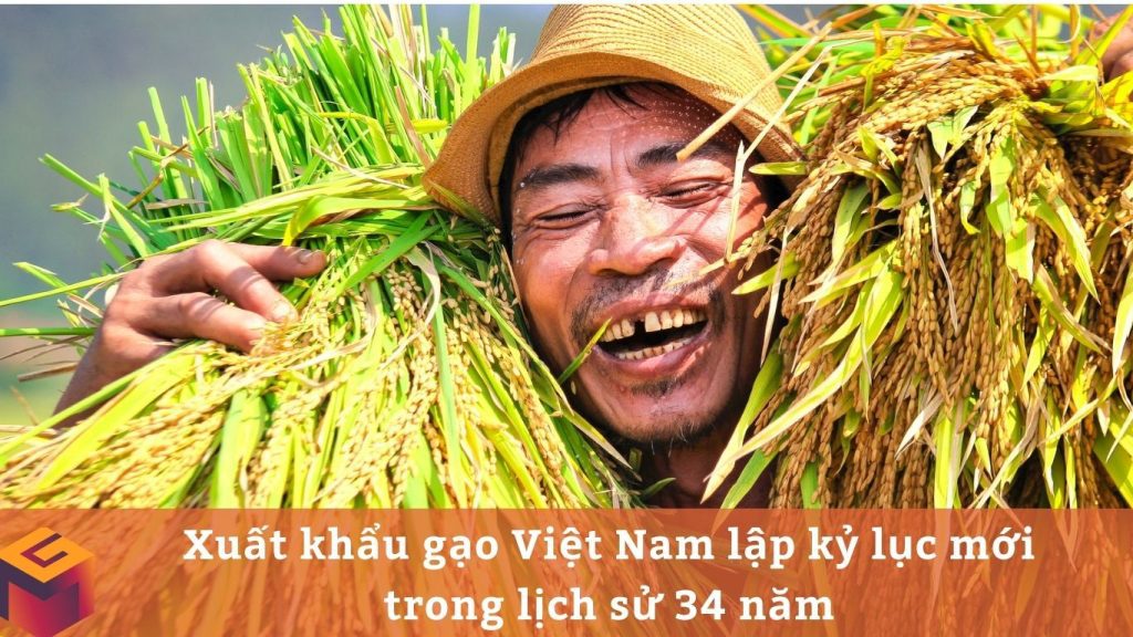 Xuất khẩu gạo Việt Nam lập kỷ lục mới trong lịch sử 34 năm