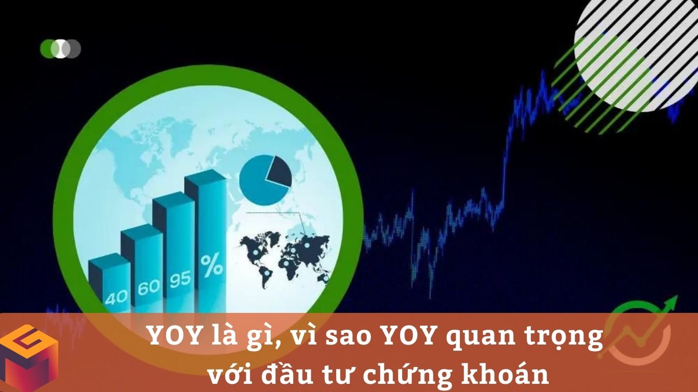 chỉ số yoy là gì