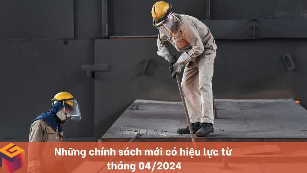 chinh sách mớichinh sách mới