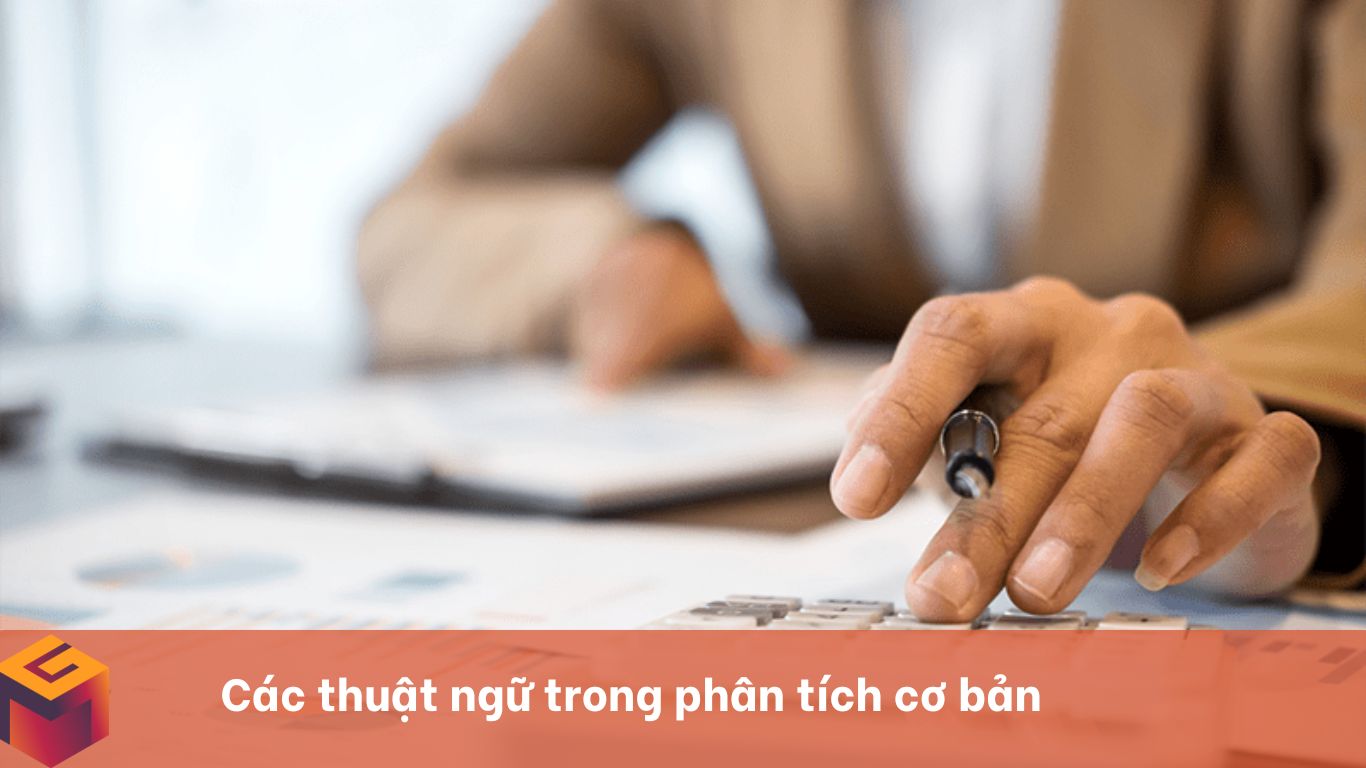 thuật ngữ trong phân tích cơ bản