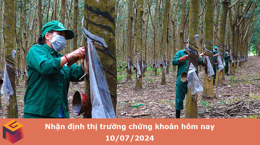 thị trường chứng khoán hôm nay 10-07-2024