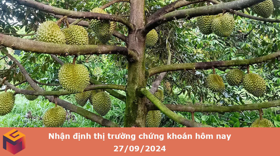 thị trường chứng khoán hôm nay 27-09-2024