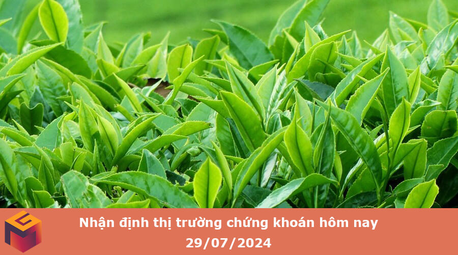 Nhận định thị trường chứng khoán hôm nay 29/07/2024